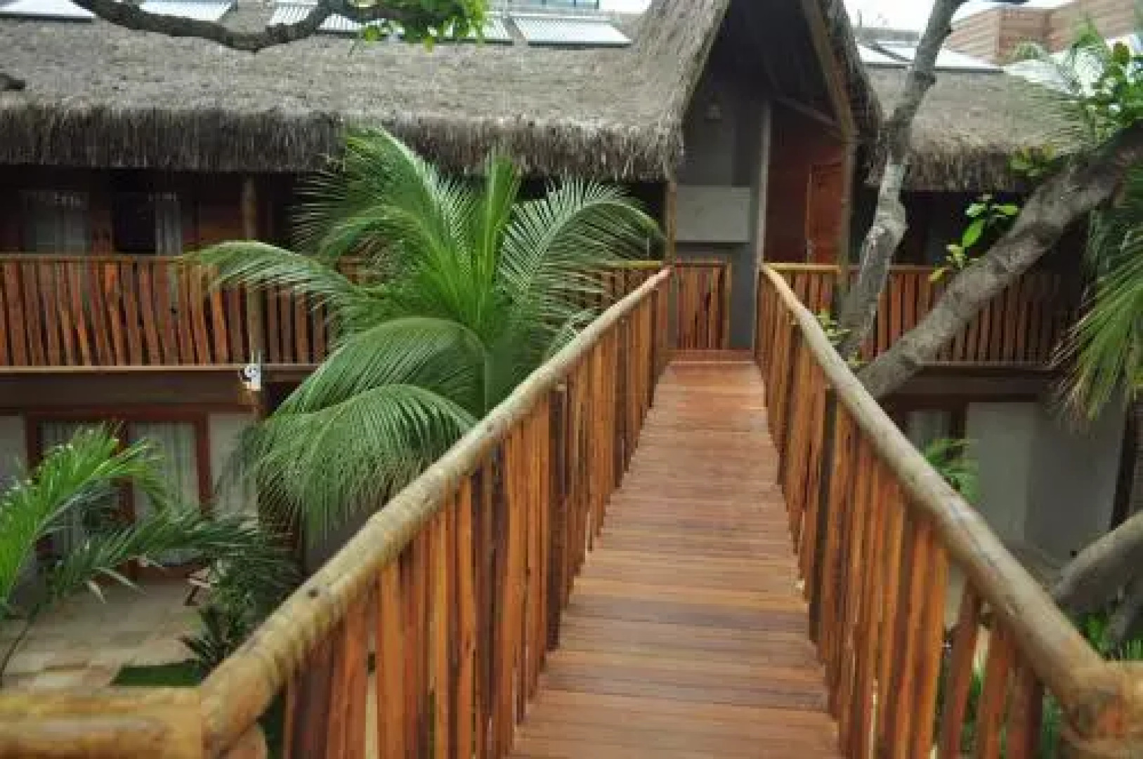 Hurricane Jeri Gardens