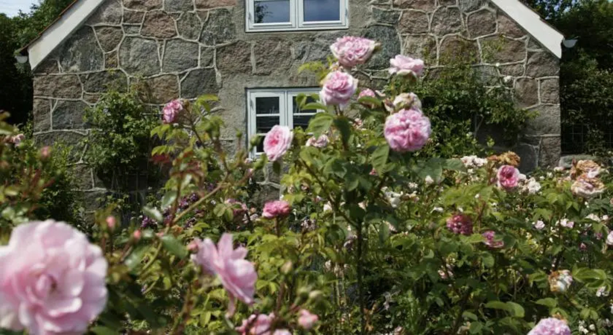 Holberggaard Apartments