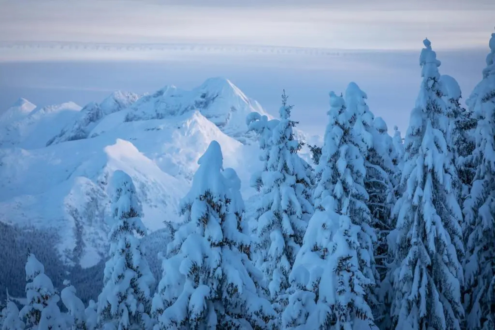 Bauernhaus & Appartement Goldschmied