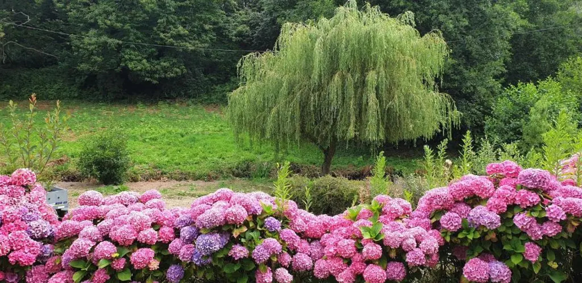 Belle maison entièrement rénovée avec jardin, WIFI, à 400m de la mer à ST QUAY-PERROS - Ref 871