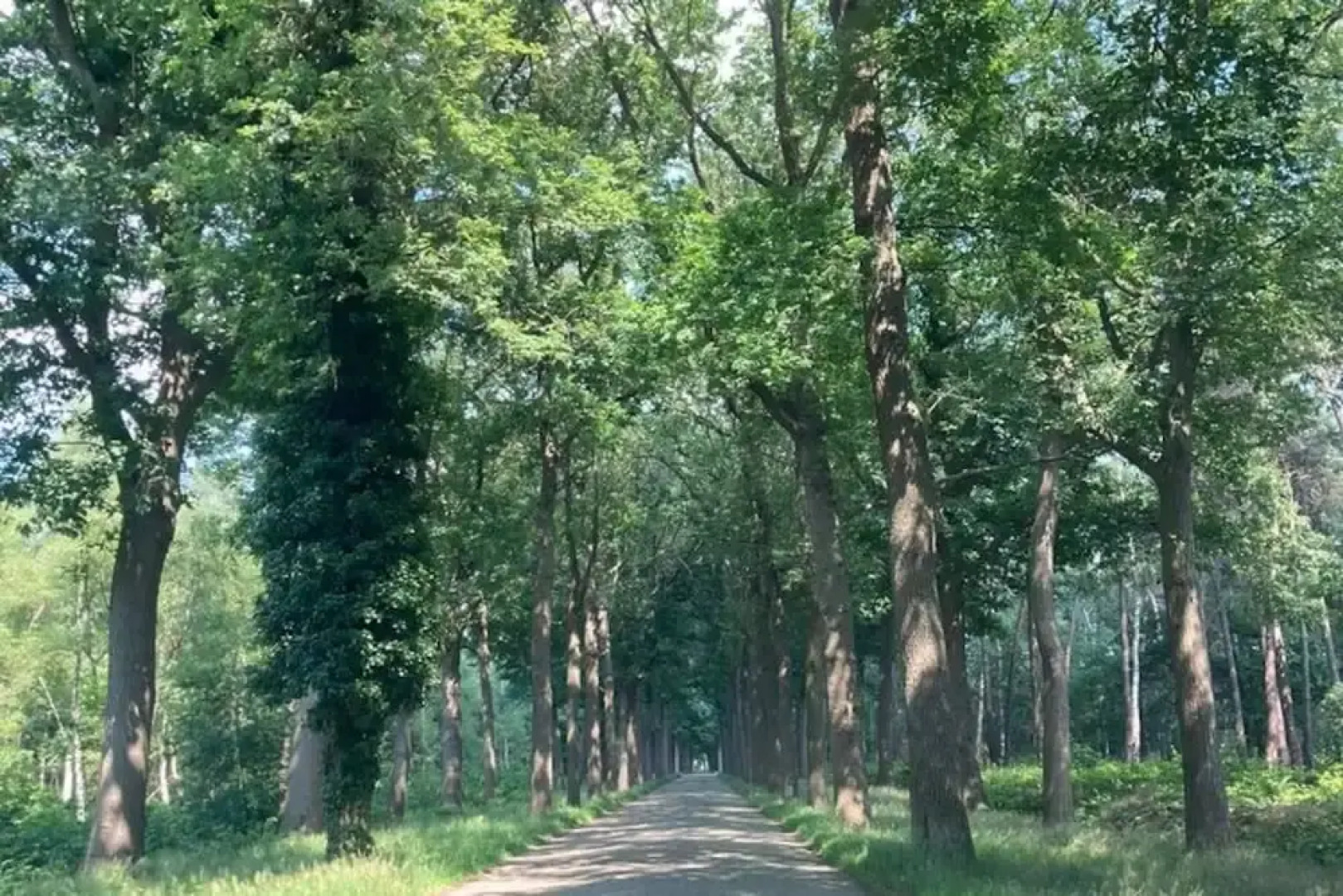 Nice Apartment on Unesco World Heritage Site Wortel-kolonie