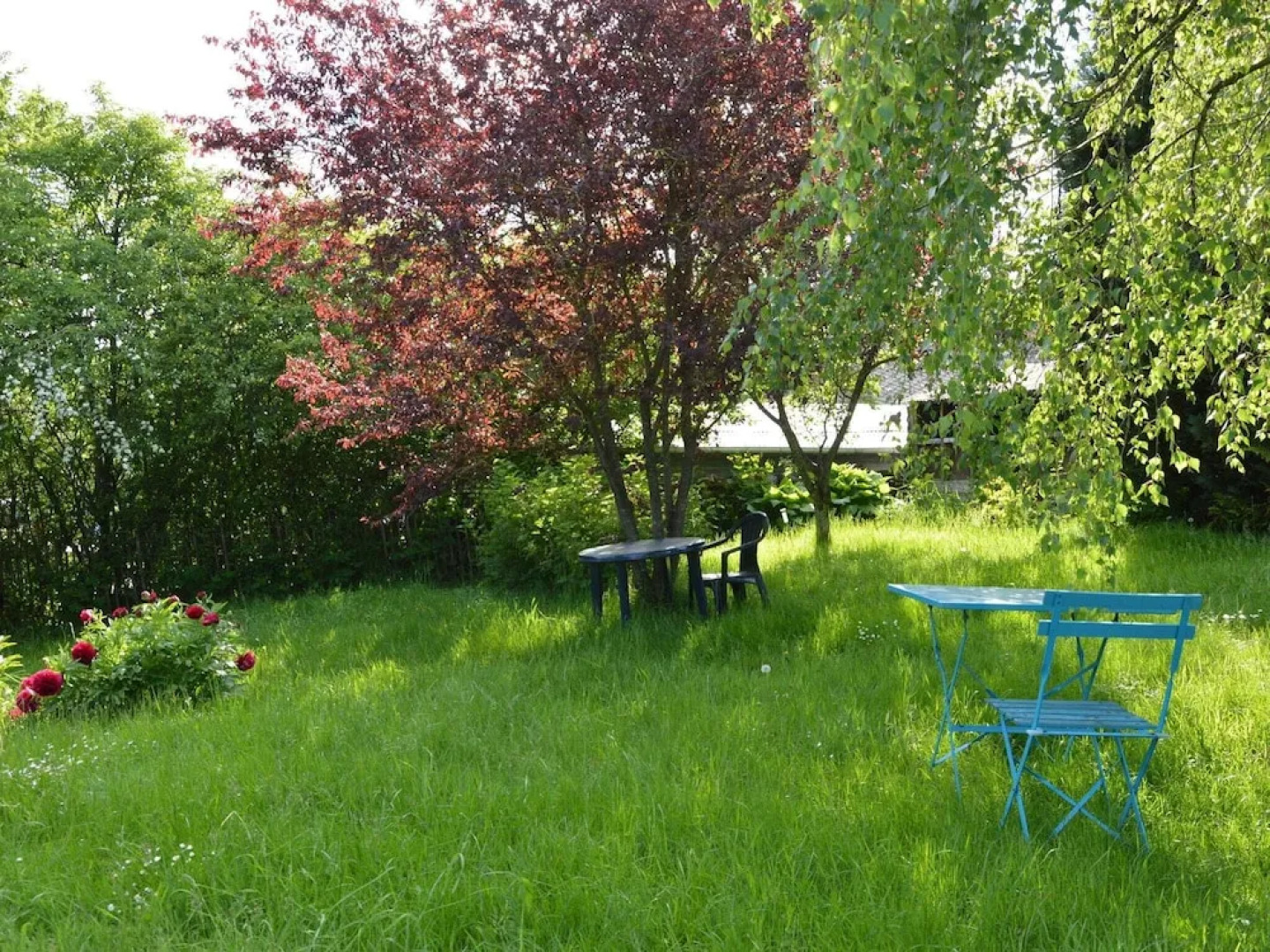 A Comfortable House in the Region of the Belgian Luxemburg