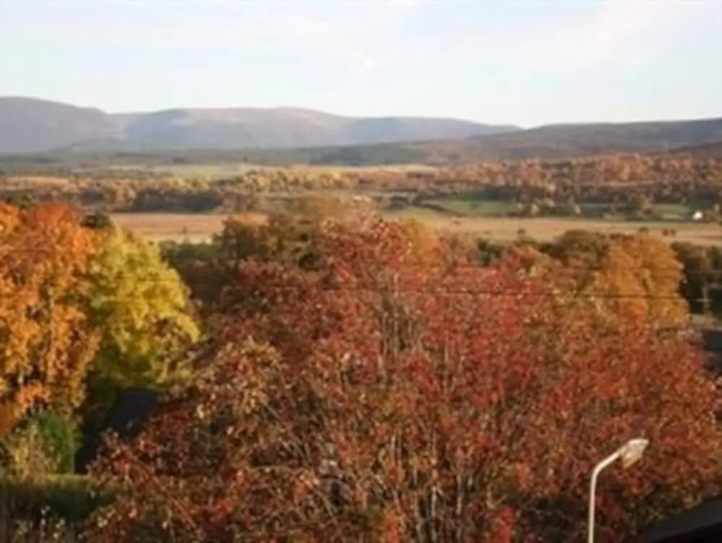 Sonnhalde Guest House