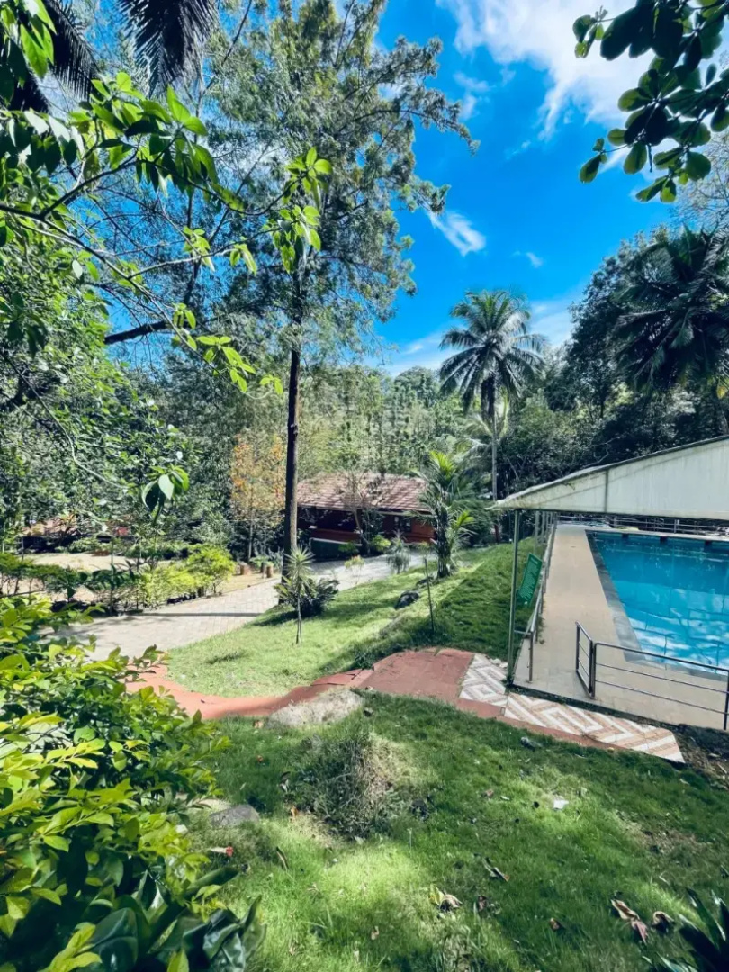 Treetop Resort