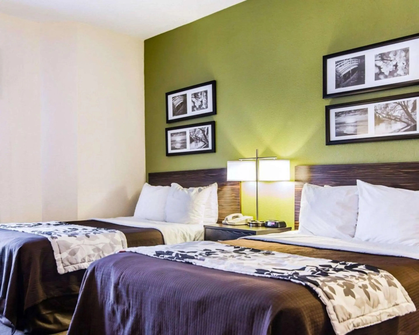 Sleep Inn Walterboro I-95