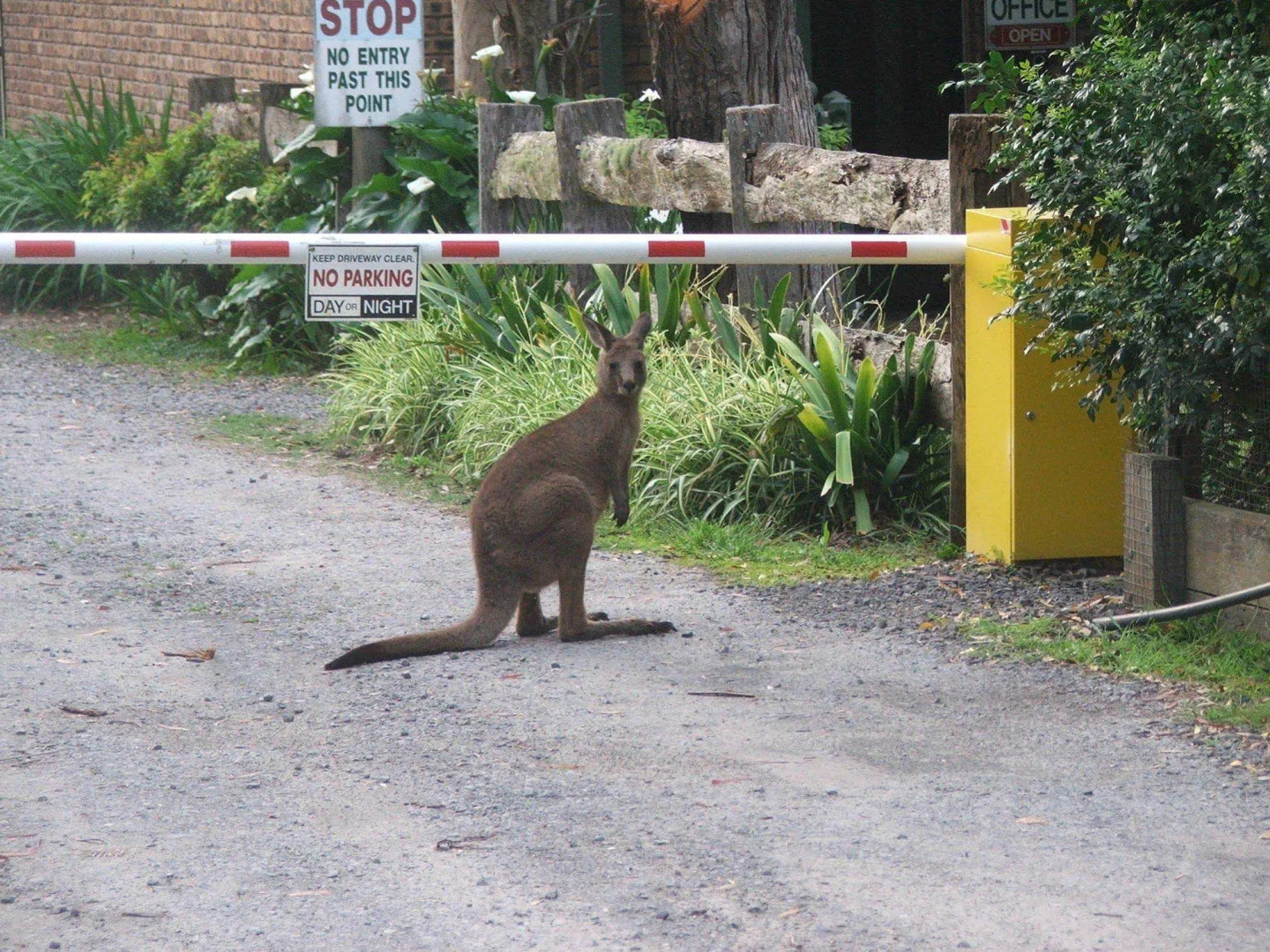 Jervis Bay Cabins & Hidden Creek Campsite