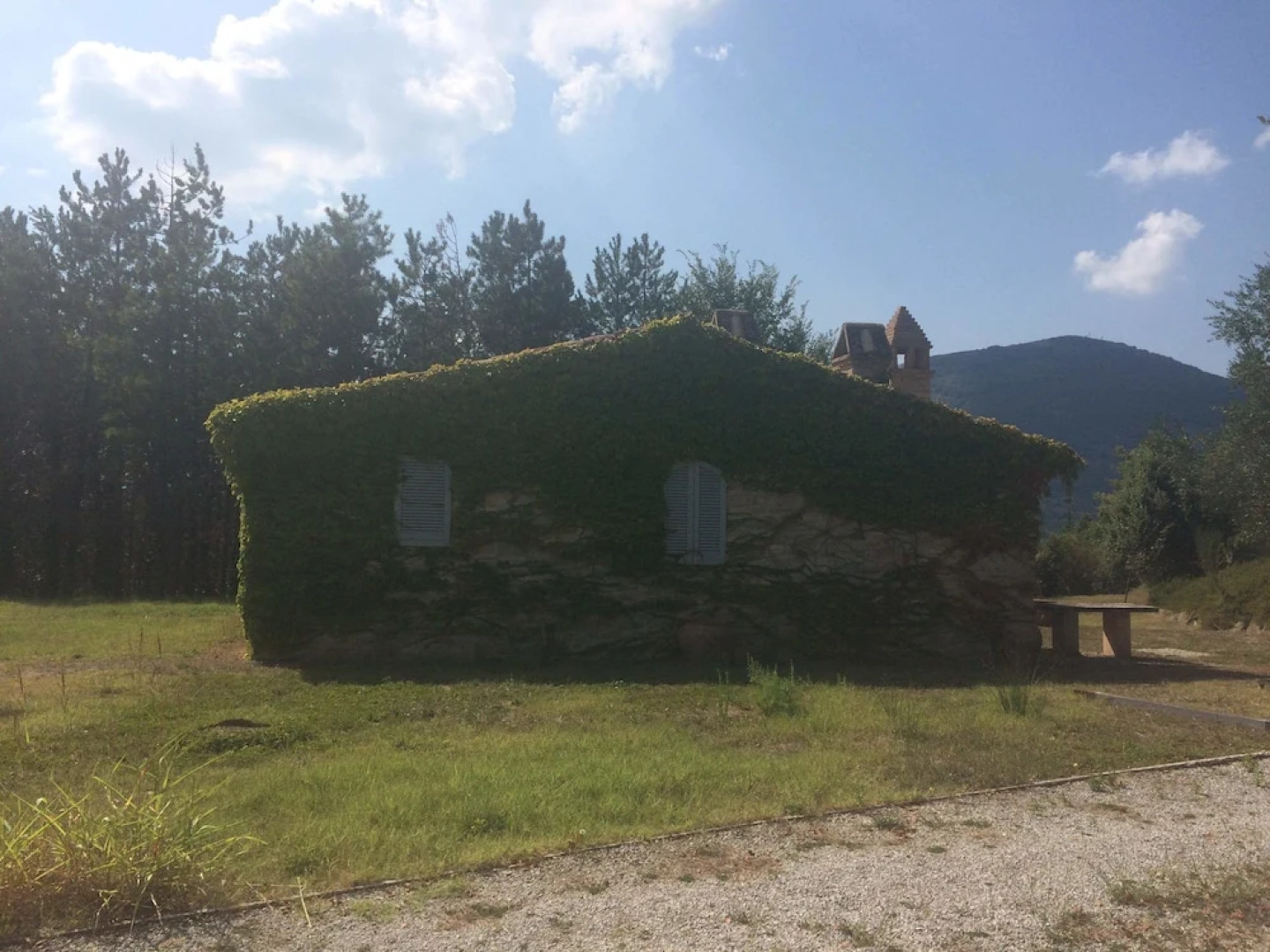 Al colle degli ulivi