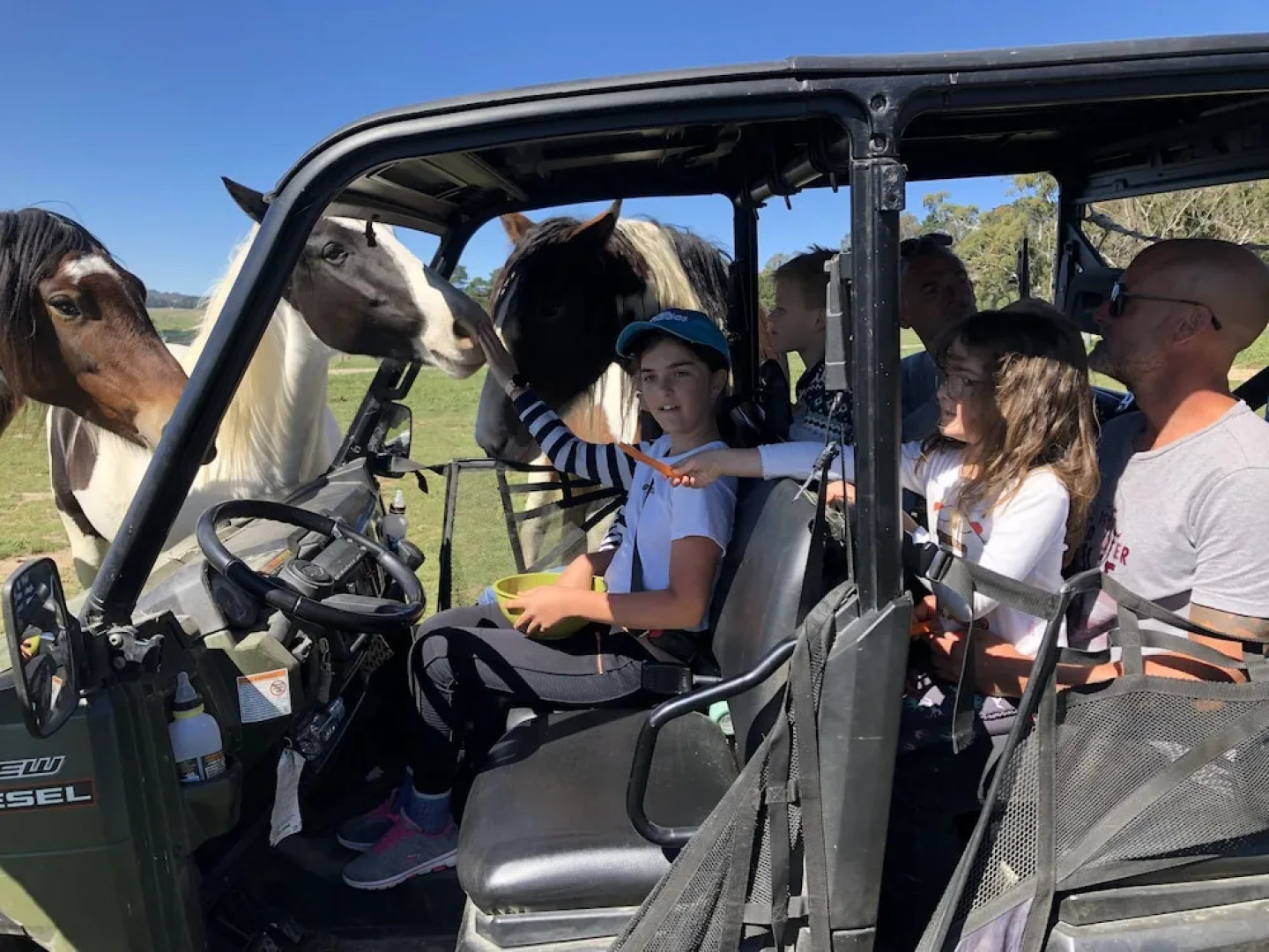 High Country Trail Rides & Farm Stay