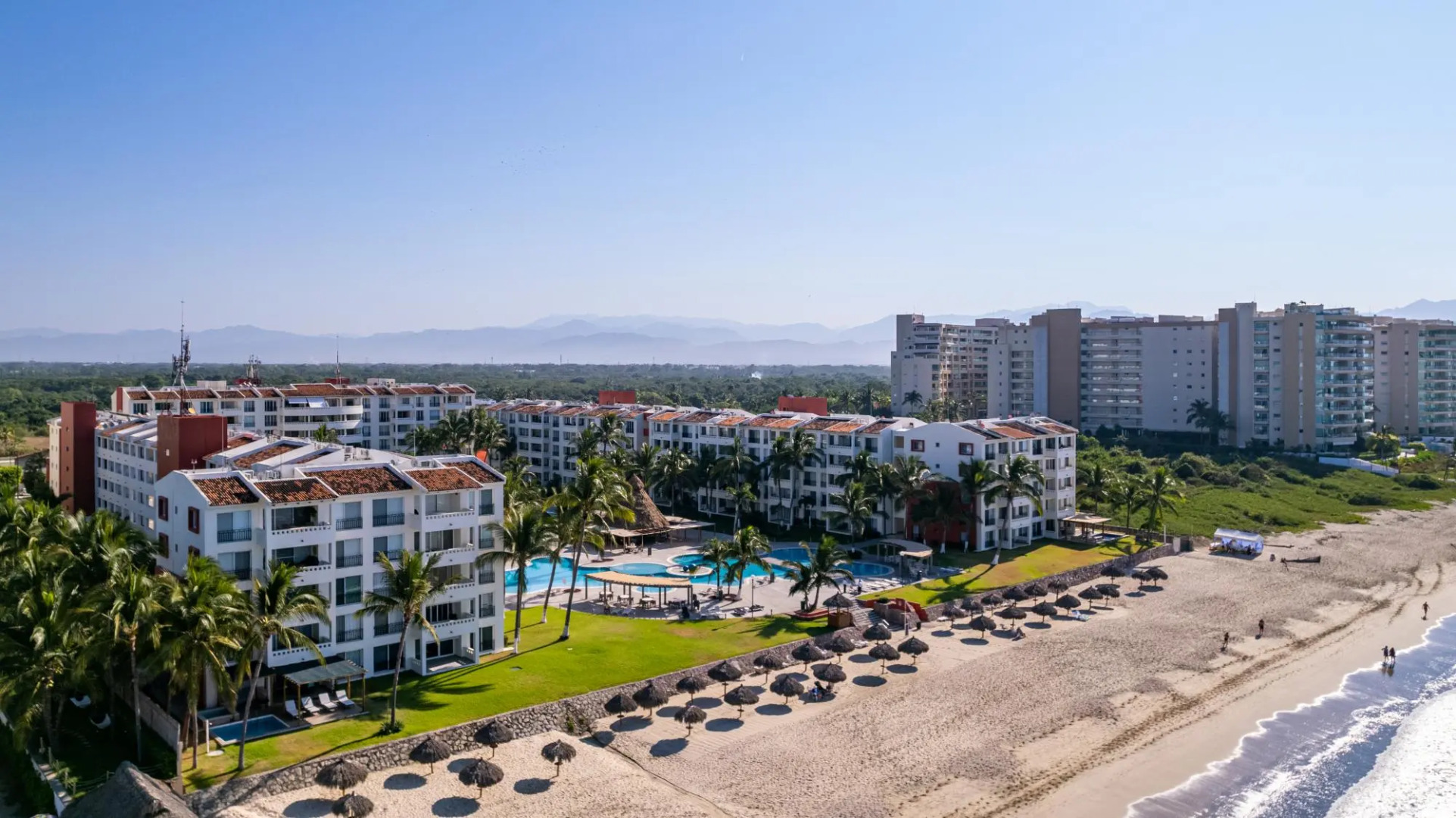 Flamingos Conchas 502