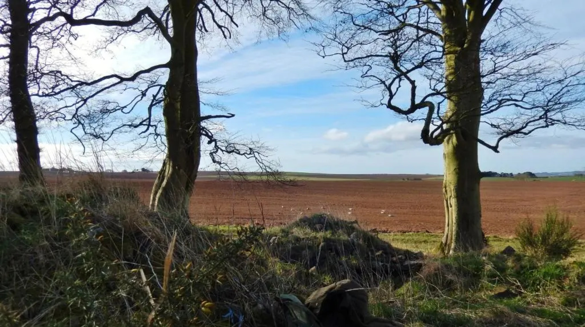 Scotland Shooting Club