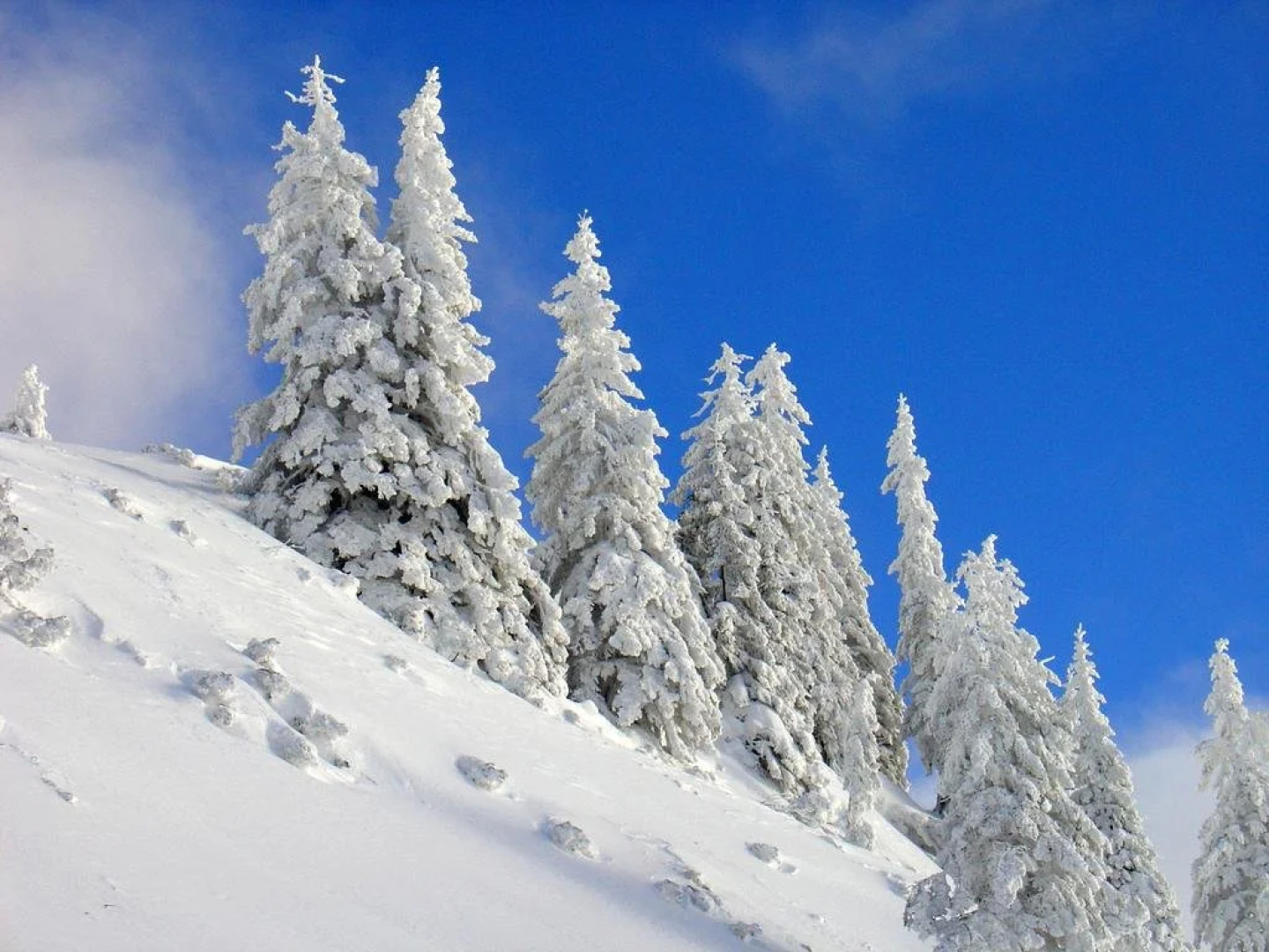 Gästehaus Feldmannhof
