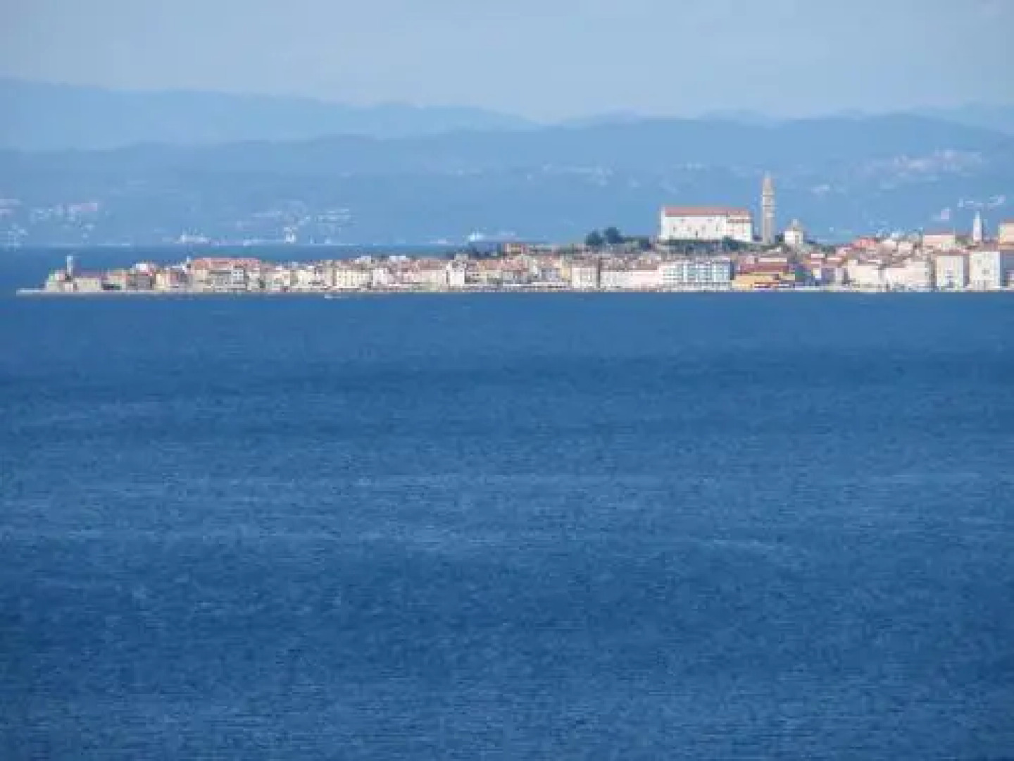 Apartments Salvore