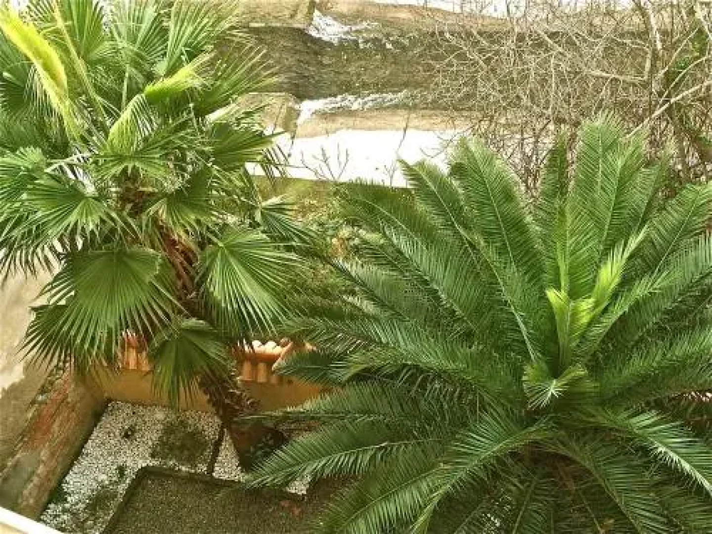 residence Azur les bains