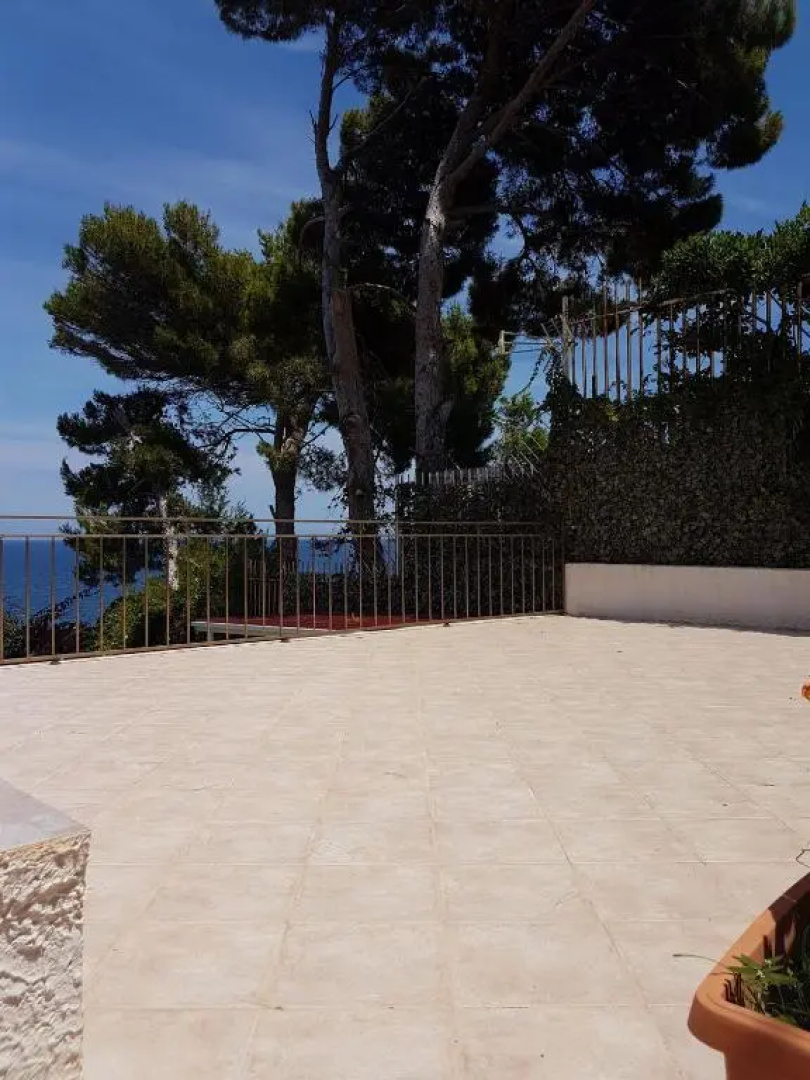 Suite Panoramic