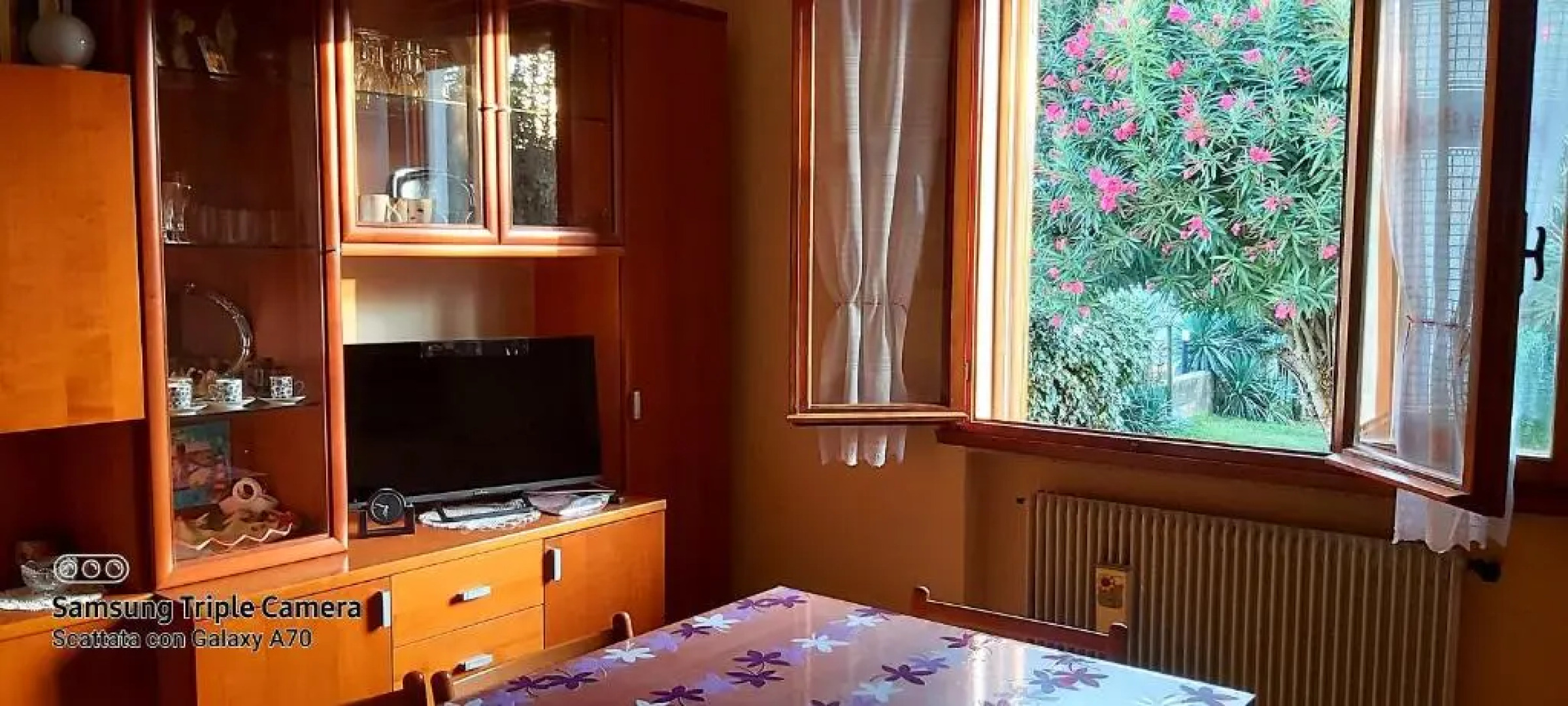 La Celeste a Montegaldella -Vi - Italia