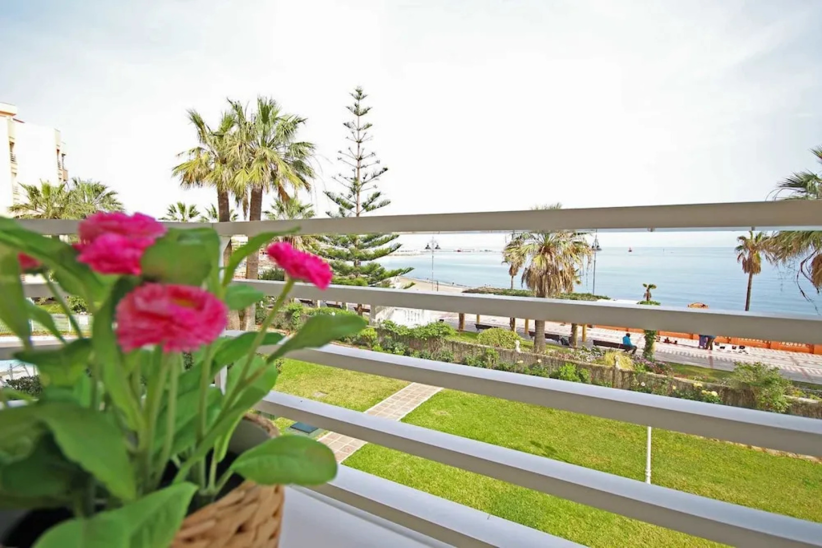 Ana Luz GrupalMalaga