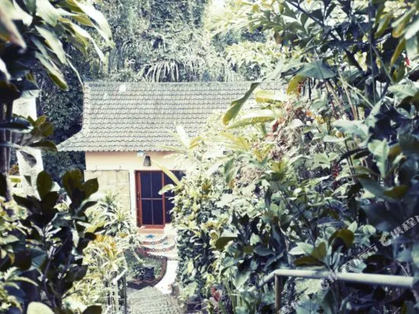 Shankaris Bali Retreat