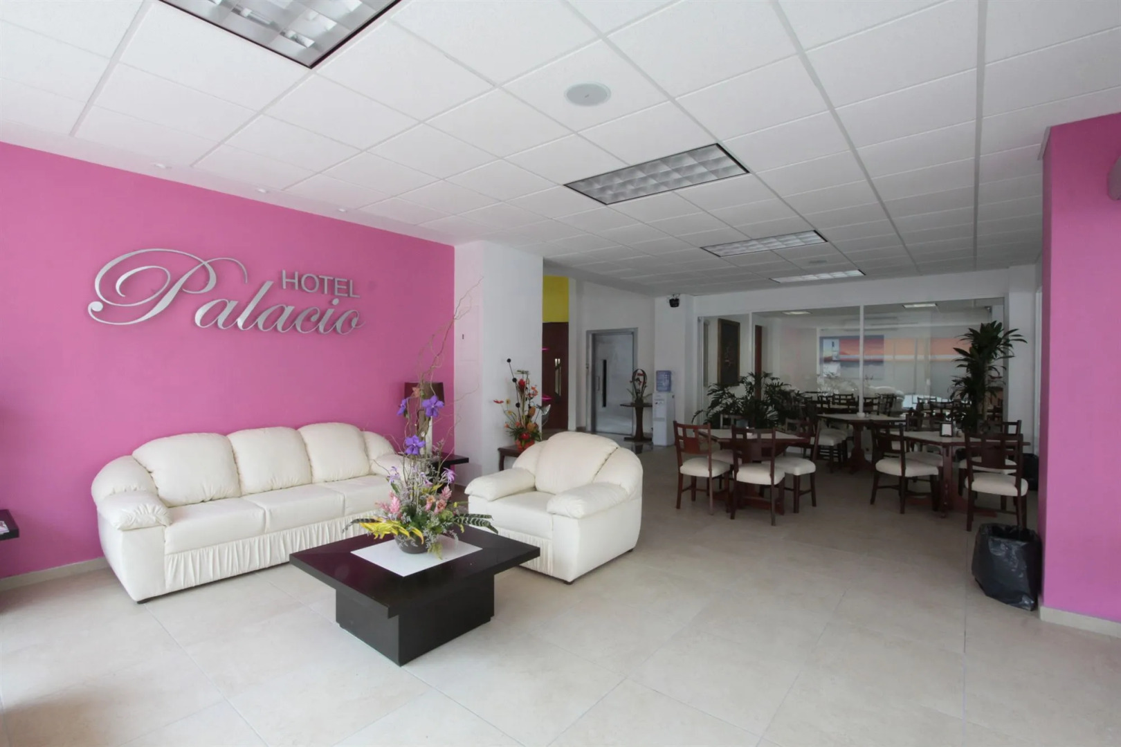 Hotel Palacio