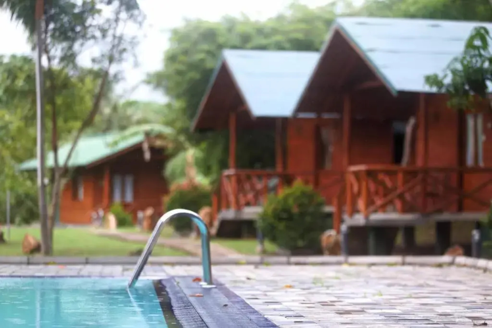 mastodon valley safari resort