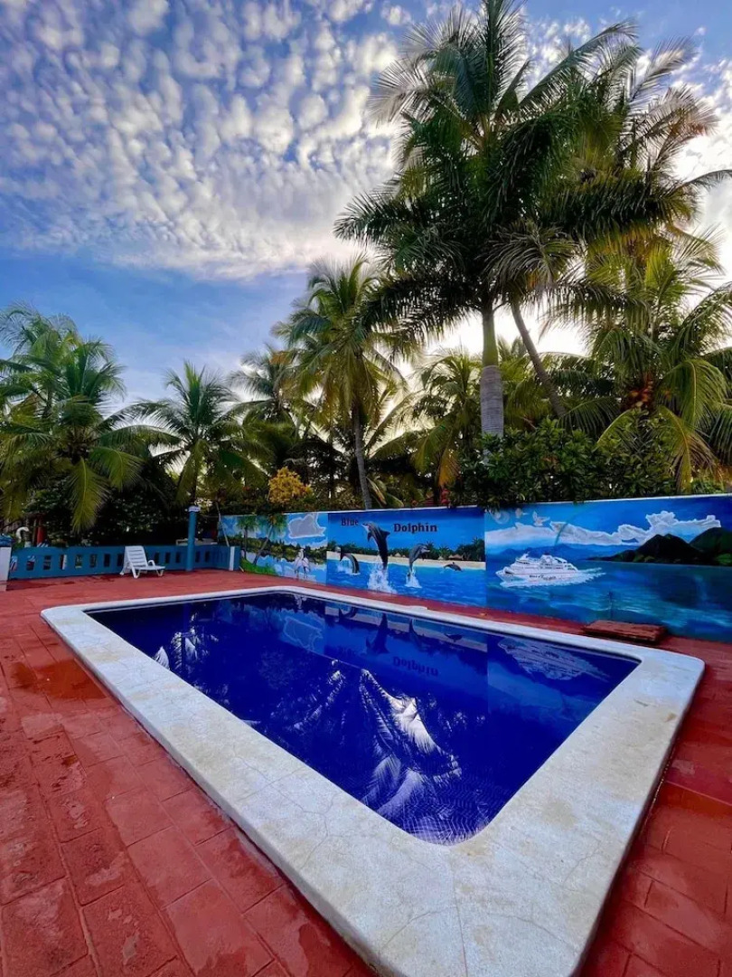 Blue Dolphin