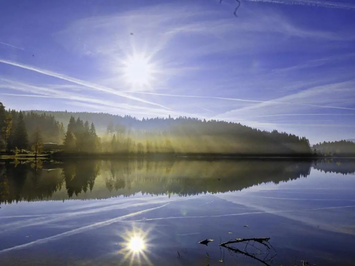 Ferienhaus am Feldberg