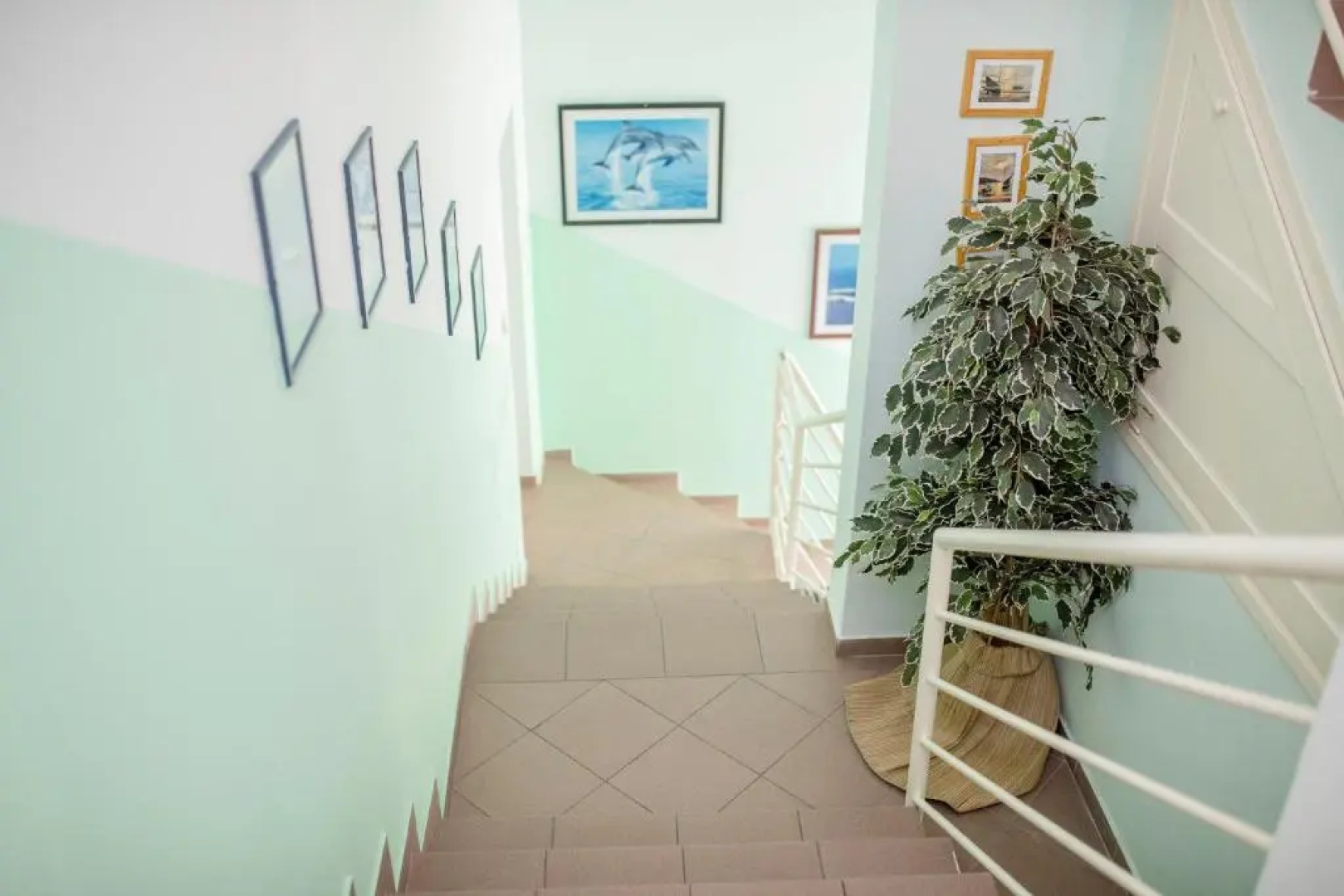 Guesthouse Šime