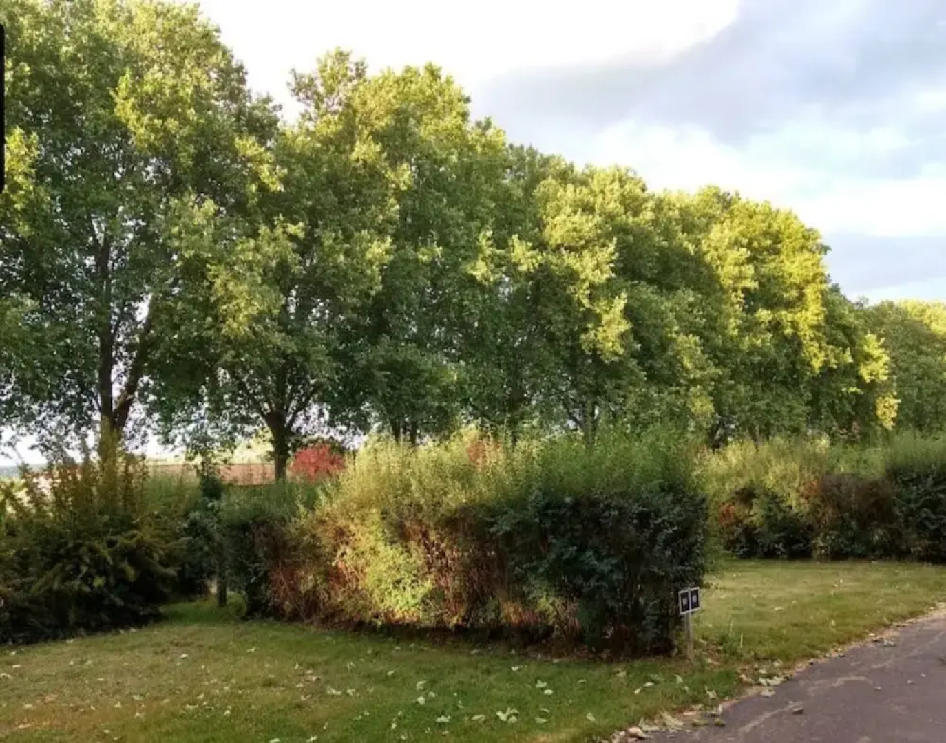 Apartment in Gorlitz With Historic Charm