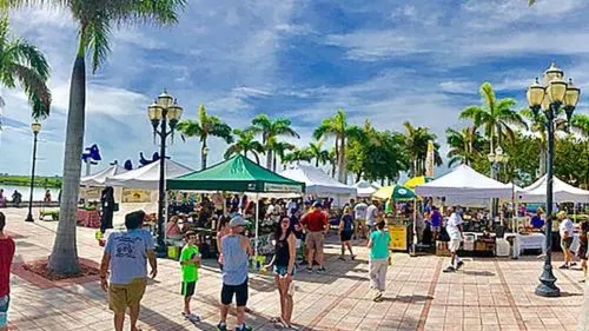 Ocean Village Coral Cluster 1023