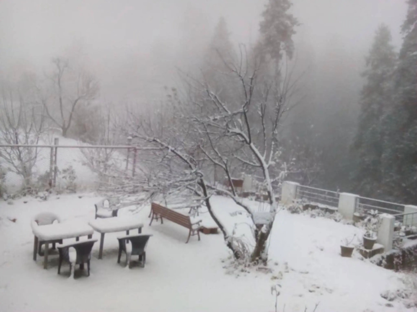 Pahadi House - Kanatal