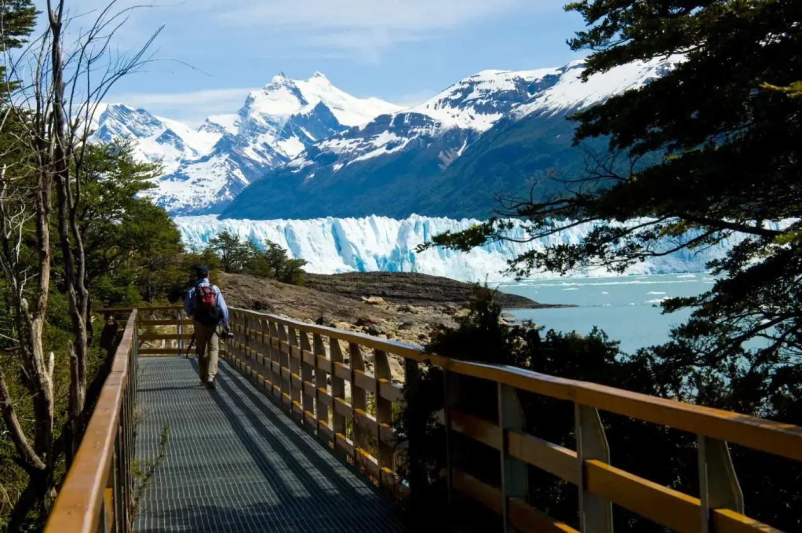 Sent Calafate