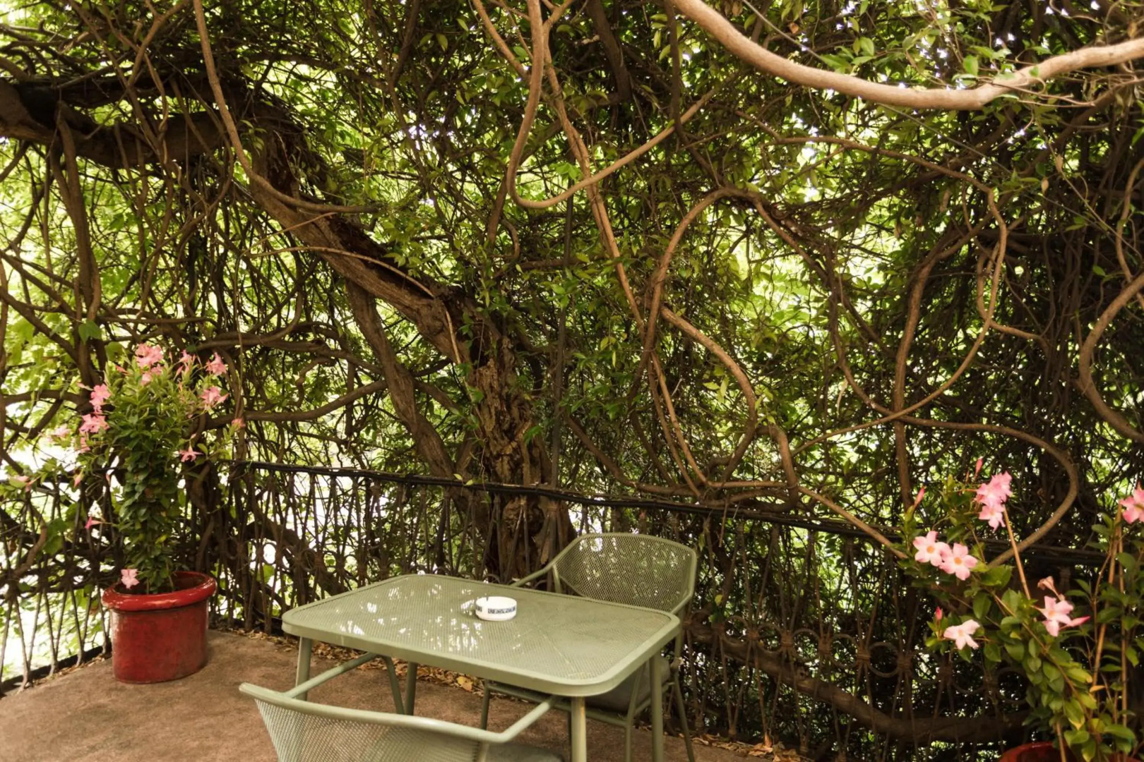 Madonnina Albergo Ristorante