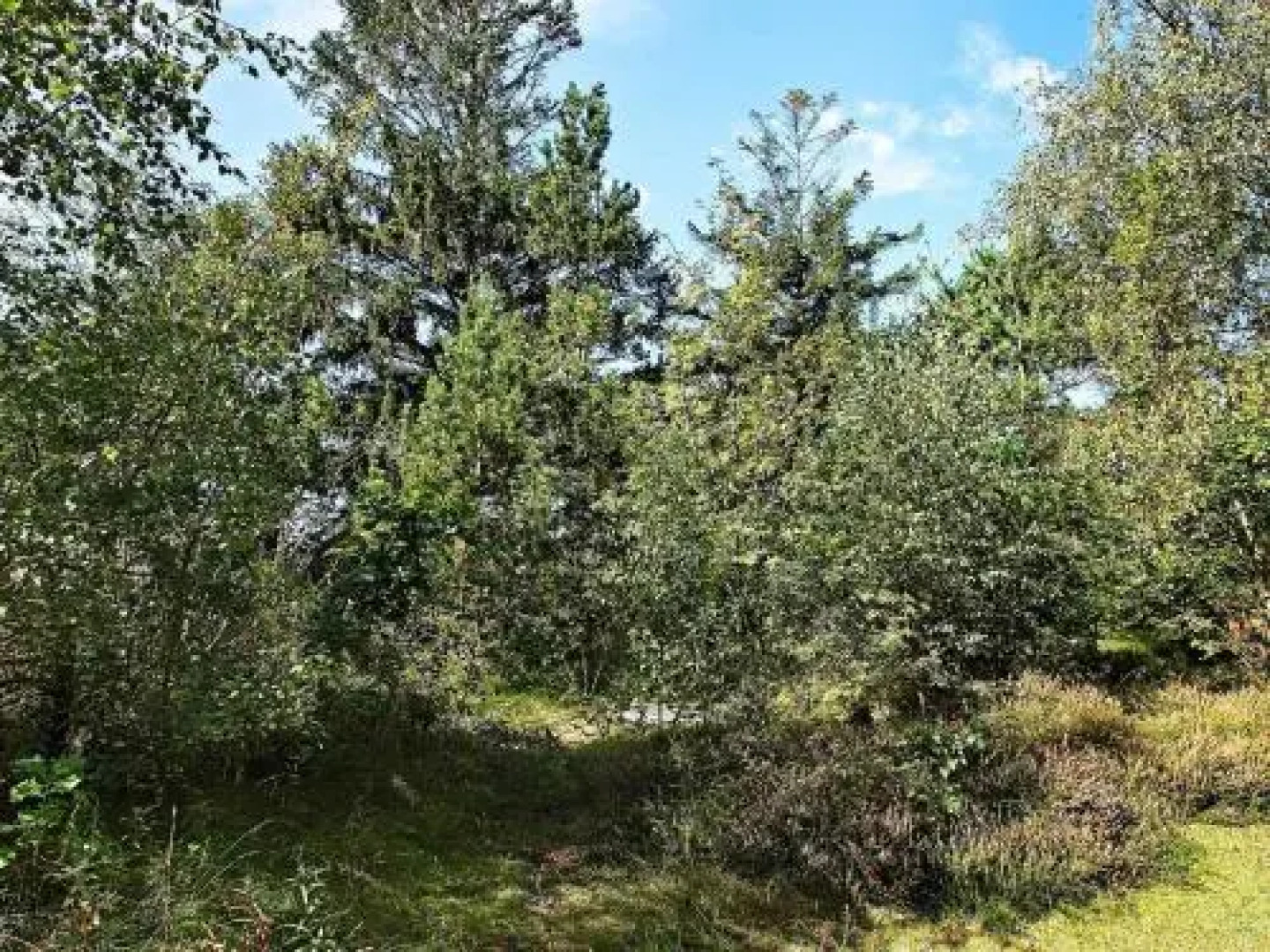 Three-Bedroom Holiday home in Læsø 3