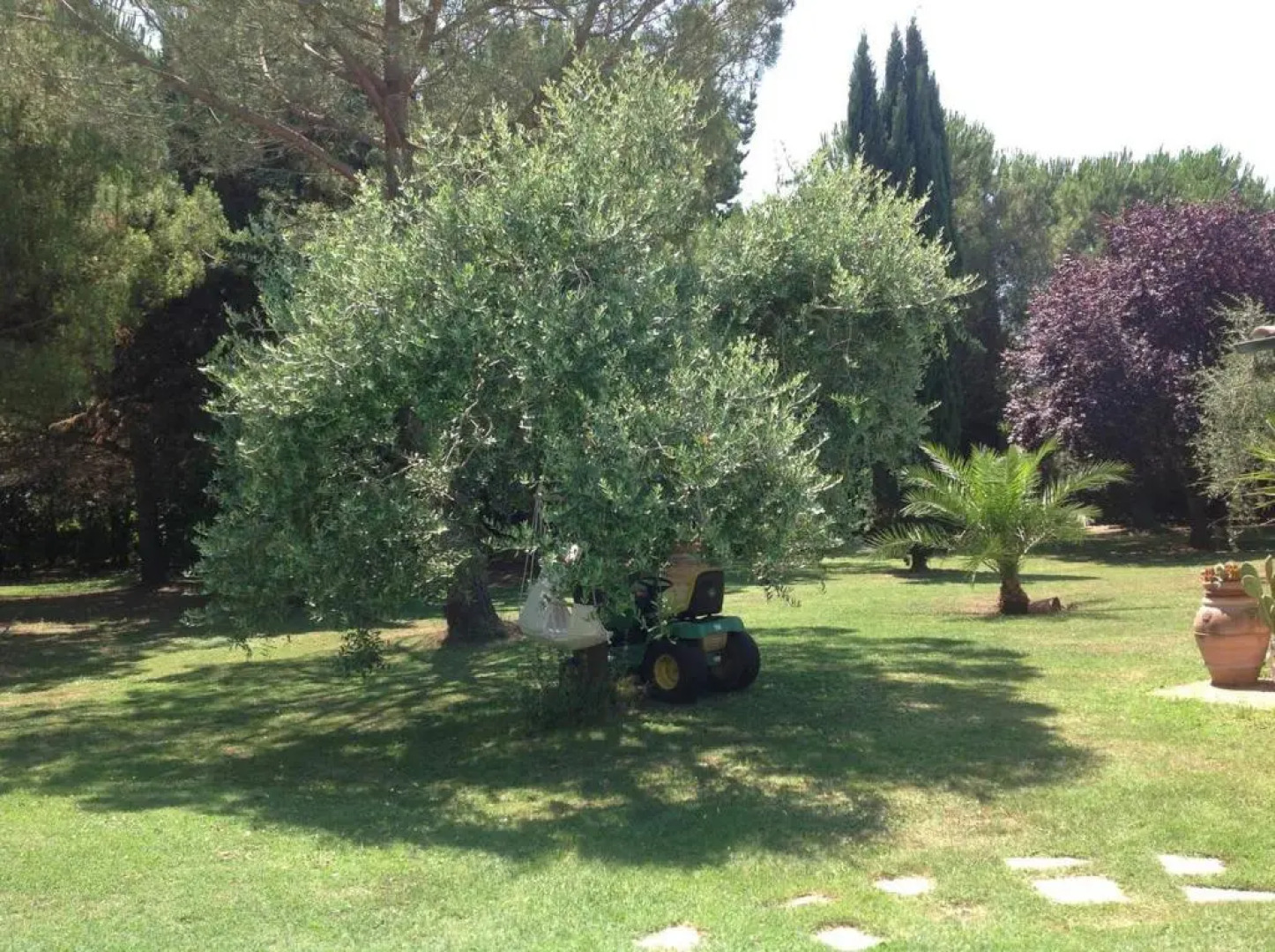 One bedroom villa with shared pool enclosed garden and wifi at Pisa