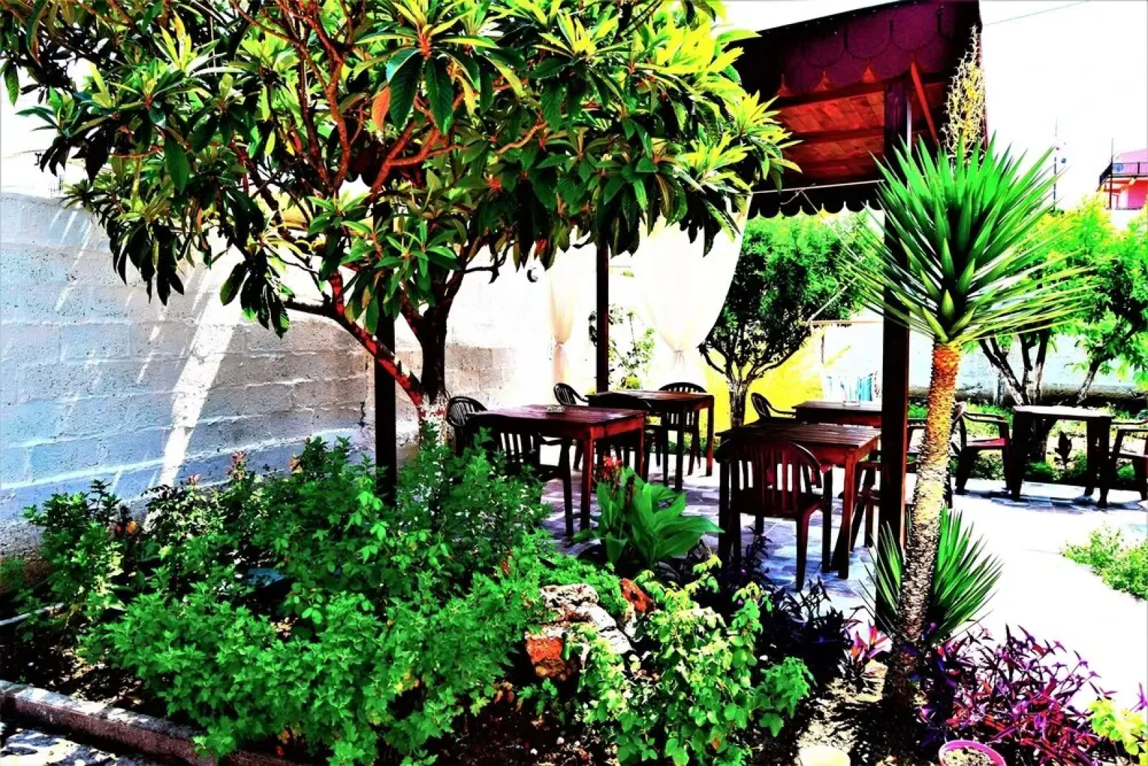 Vila Lili Guest House