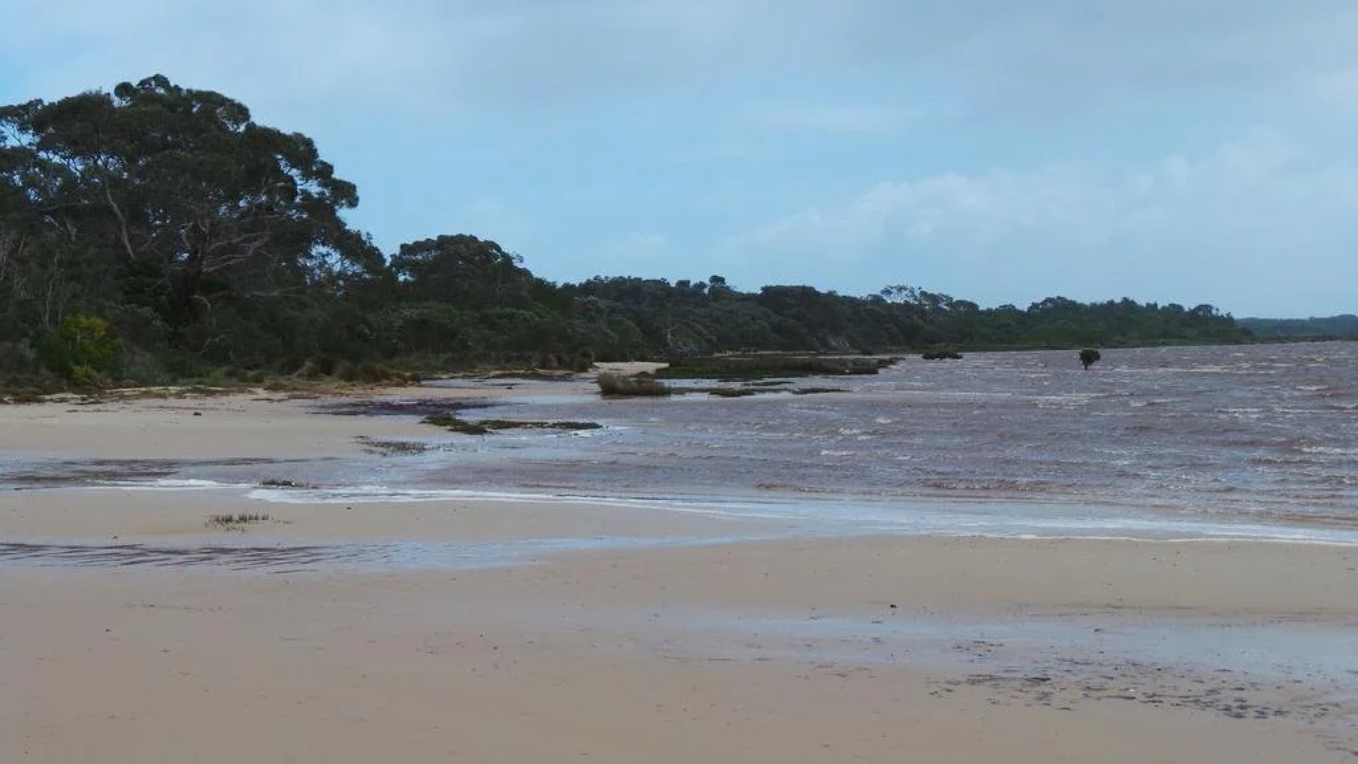 Dacha House Venus Bay