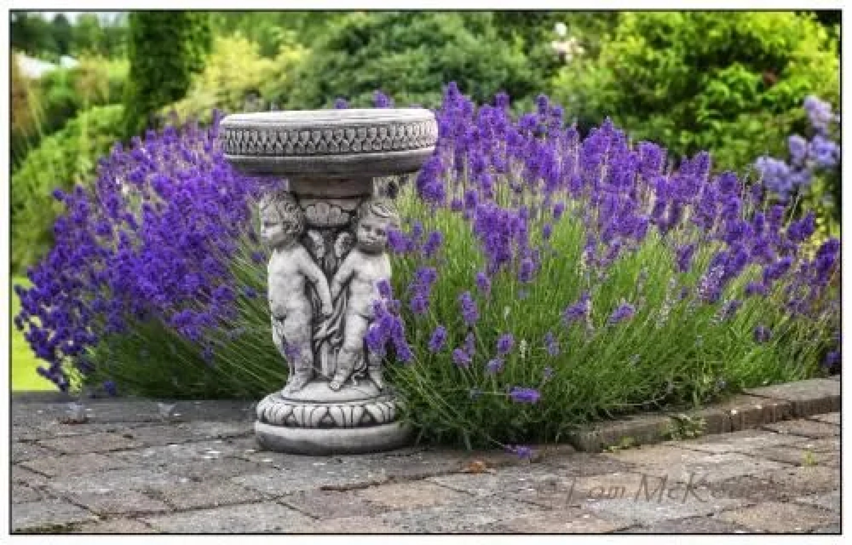 Willowbrook Bed & Breakfast