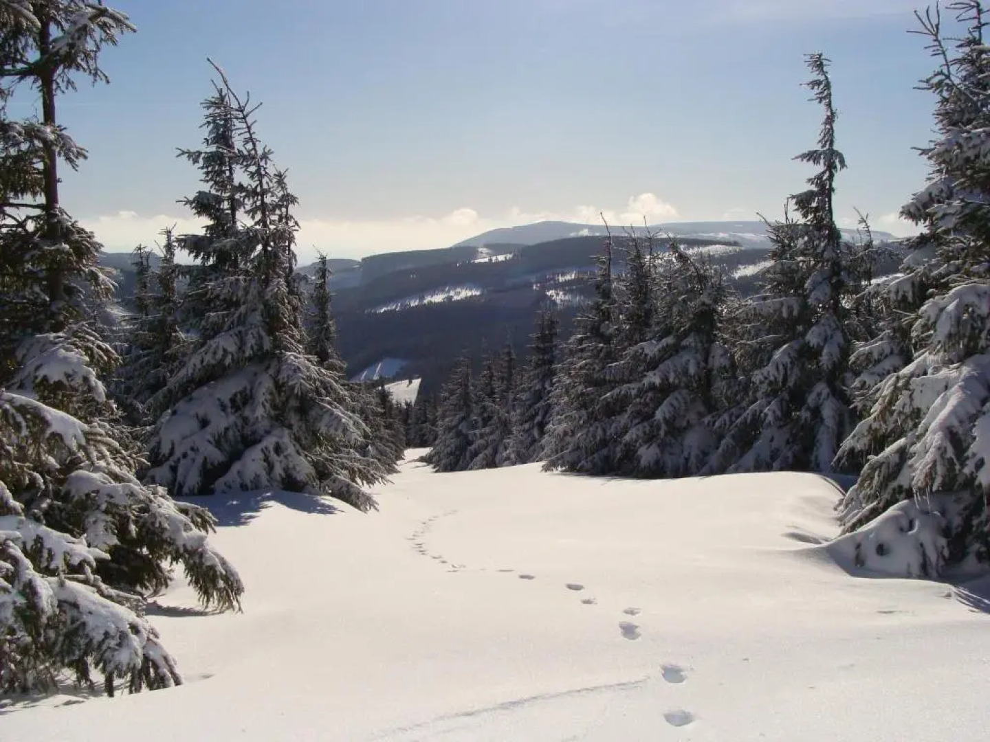 Gospoda Graniczna Bombaj