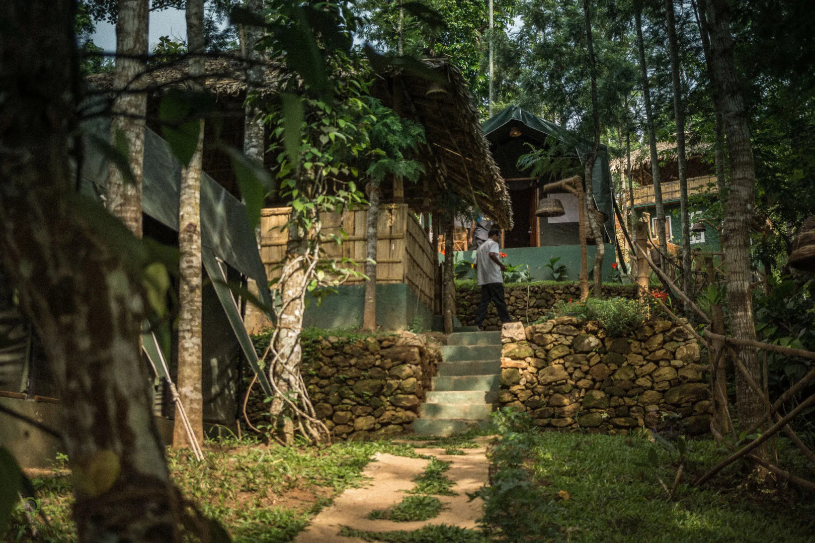 Season7 The Nature Resort - Munnar