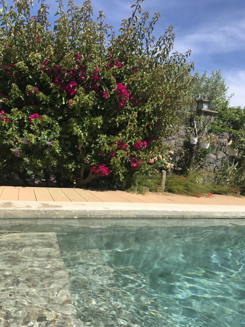 Villa No 5 Boutique Hotel
