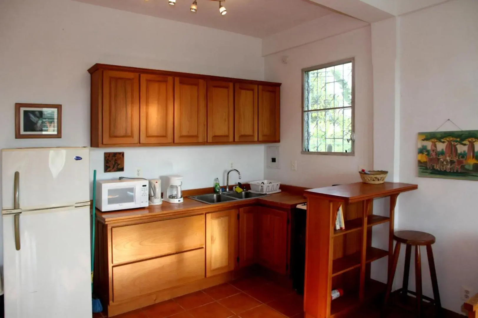 BlueBelize B&B