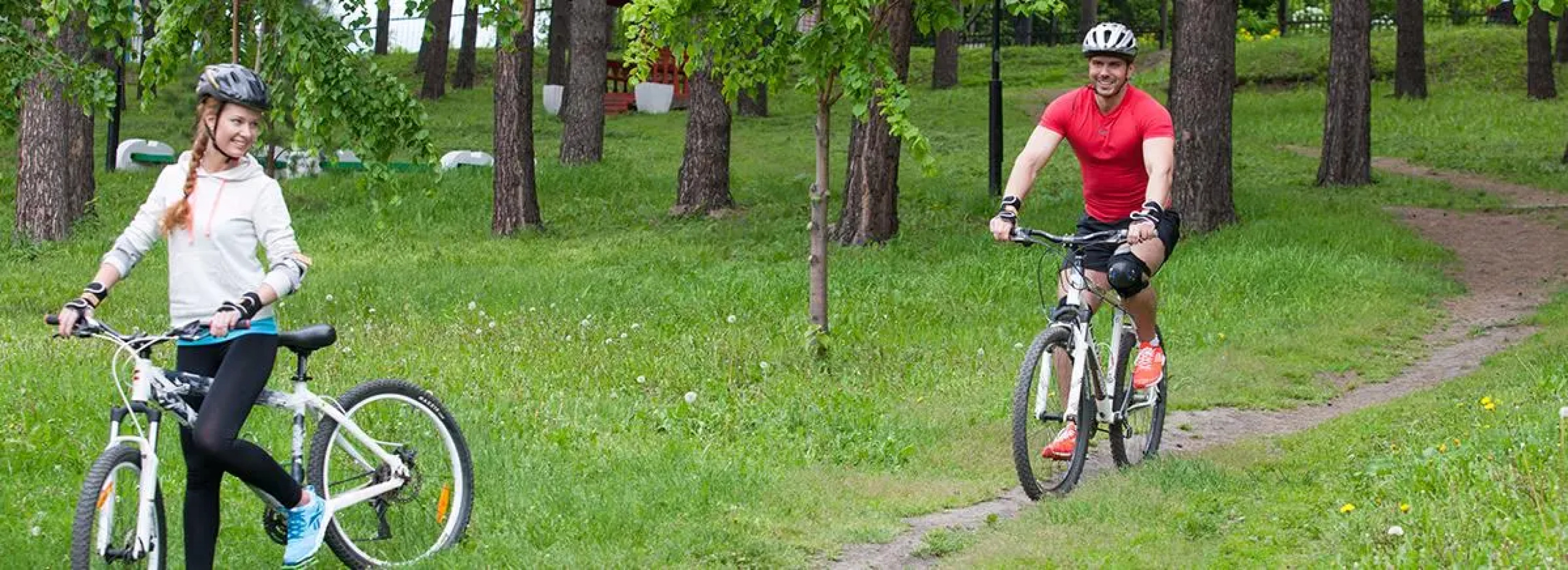 Лесная сказка