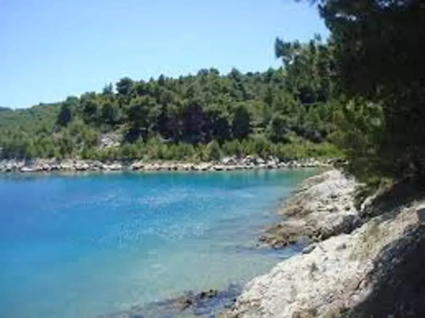 Apartment With 2 Bedrooms in Zlarin, With Enclosed Garden and Wifi - 2