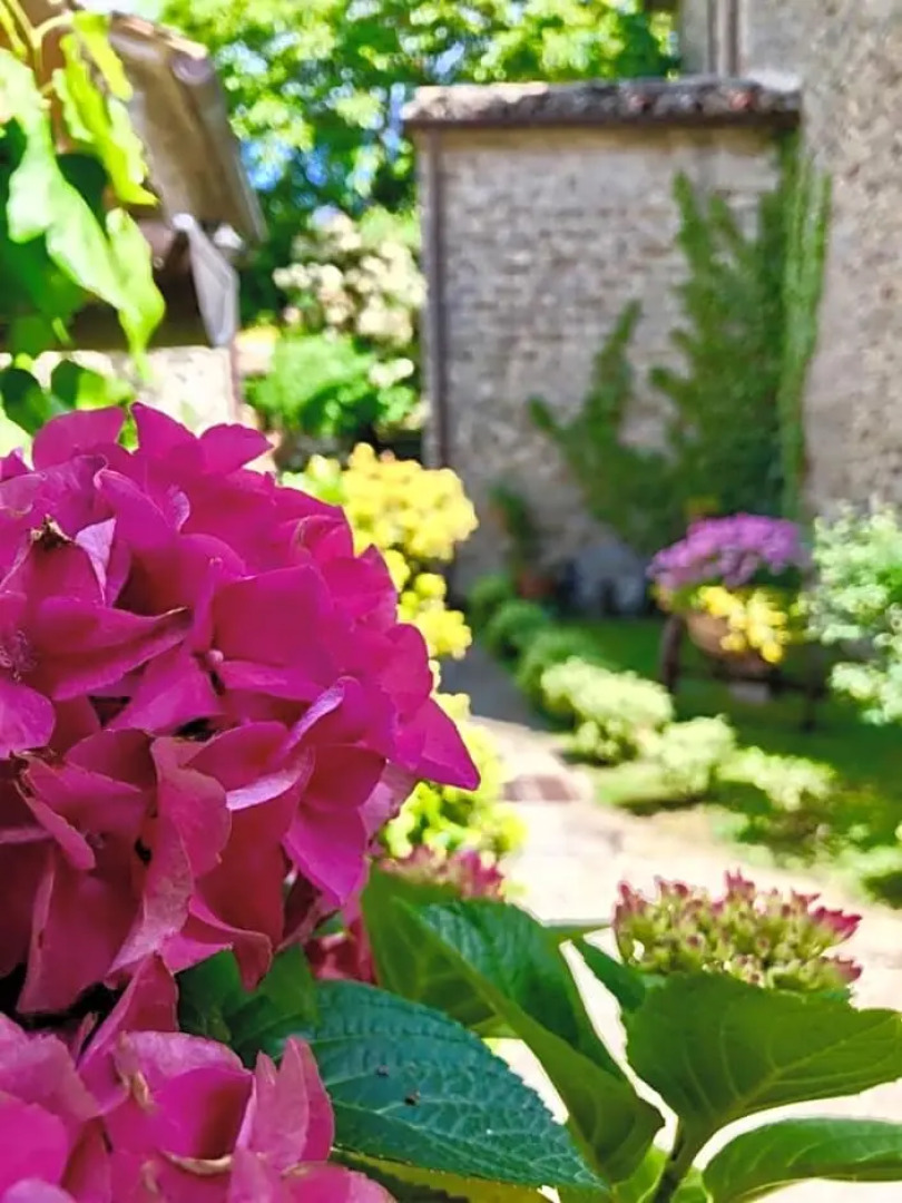 Agriturismo Biologico Castello Della Pieve