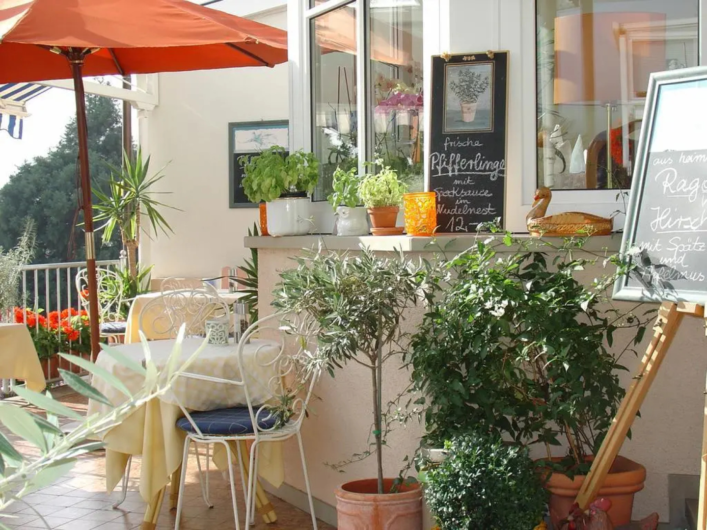Hotel & Restaurant ZUR TRAUBE