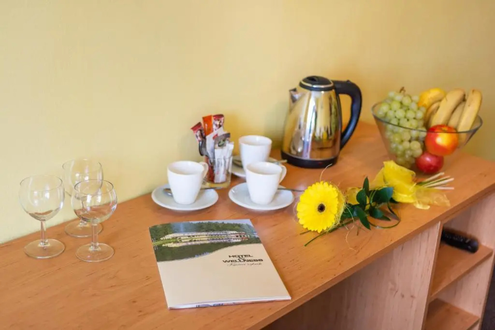 Hotel&wellness Knizeci Rybnik