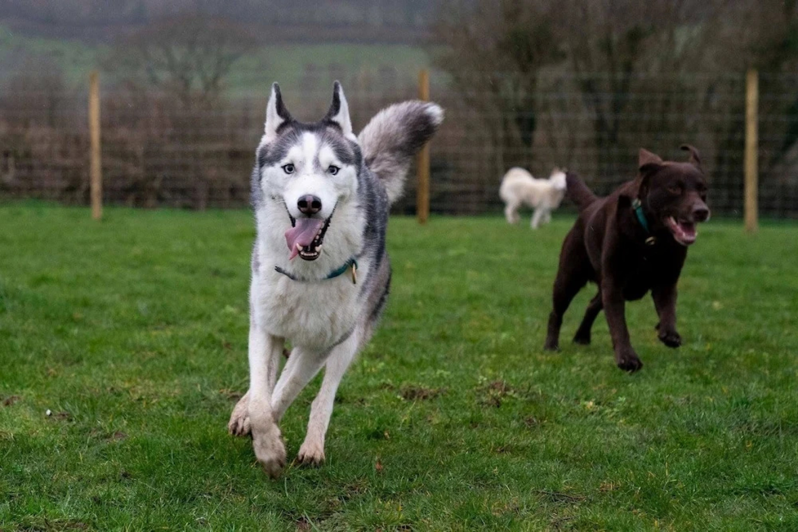Pencastell Views Pod With Stunning Views