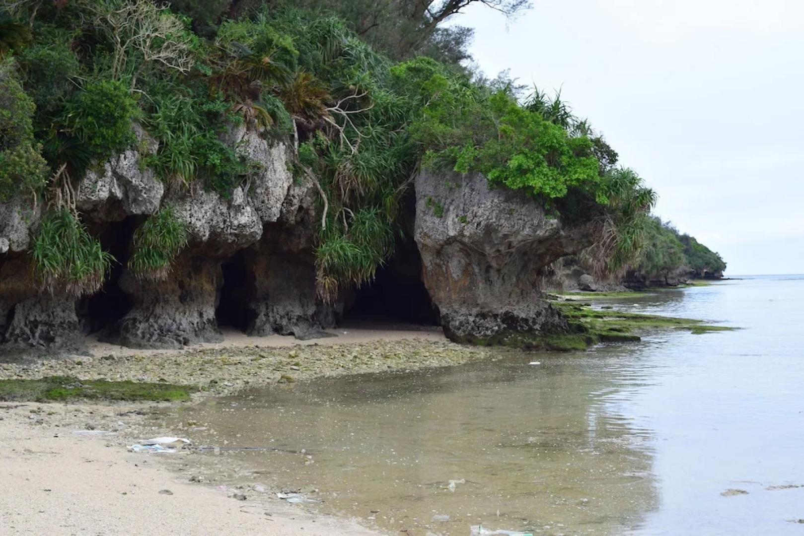 Blue Steak Wonder Nagahama