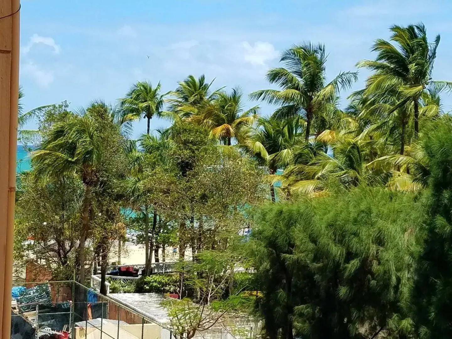 Coral Beach