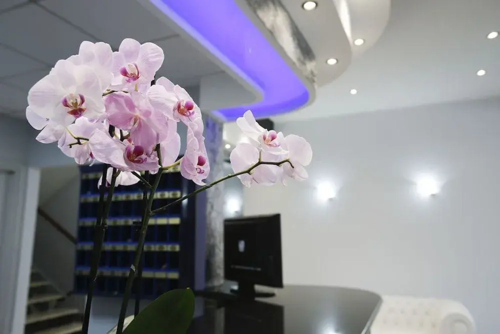 Alex & Lorenz Hotel
