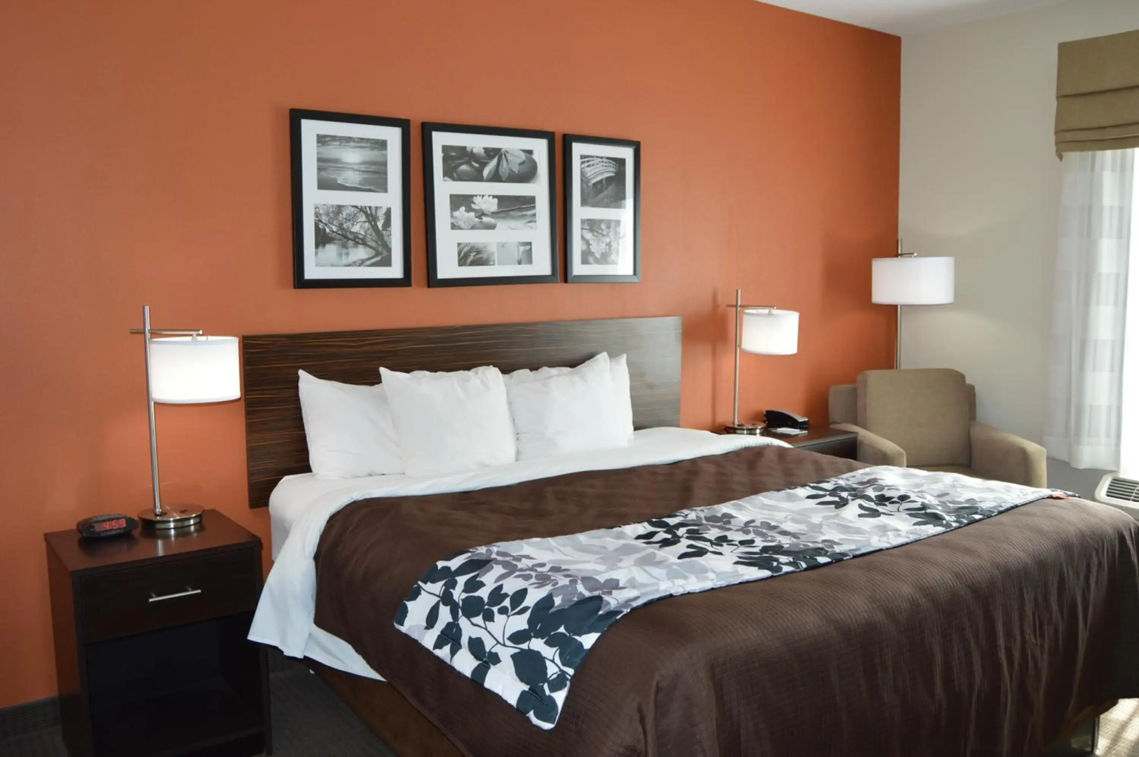Sleep Inn & Suites